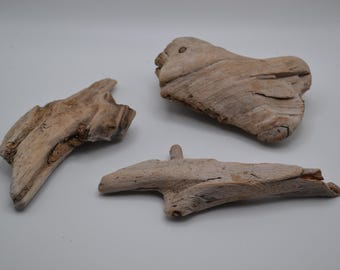 Distressed Driftwood Lot (DDWB #213) | 3 Piece