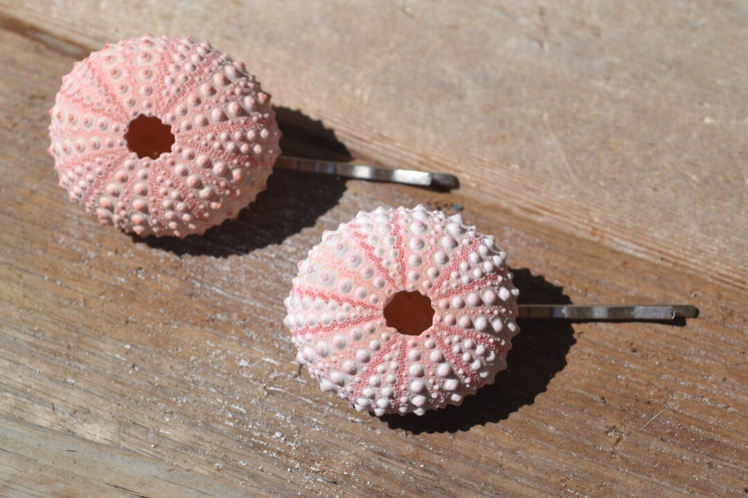 Pink Sea Urchin Hair Pins, Beach Accessories, Wedding Hair Pins 2 Piece