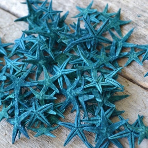 May include: A pile of teal blue starfish on a wooden surface. The starfish are arranged in a random pattern, with some overlapping.