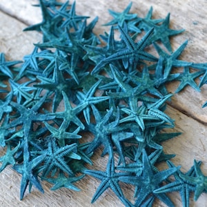 May include: A pile of teal blue starfish on a weathered wooden surface. The starfish are arranged in a random pattern, with some overlapping.