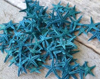 Blue Dyed Starfish, Flat Starfish, Phillipine Stafish (3/4 - 1") | 10 Pieces