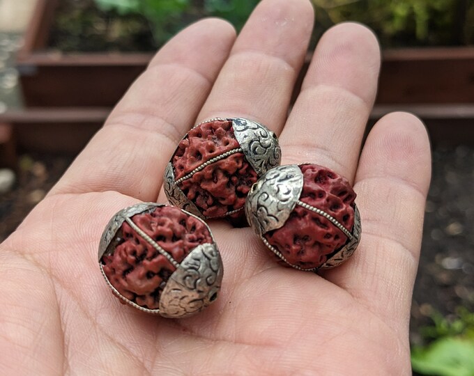 3 Handcrafted 5 Mukhi Rudraksha Beads with Silver Inlay (20mm)