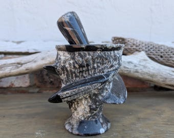 Orthoceras fossils, including fossil mortar and pestle. fossil mortar and pestle