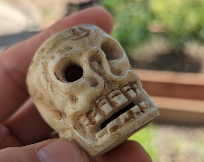 Rare Skull, Rare ugly Yak Bone Skull, Tibetan rare vintage Yak bone hand Carved Skull beads