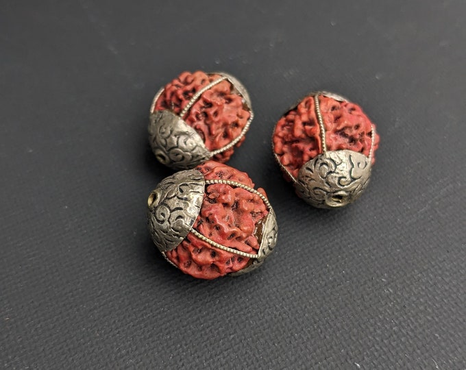 Hindu holy 3 of 20mm silver inlay beads- Natural 5 Mukhi Rudraksha dard brown