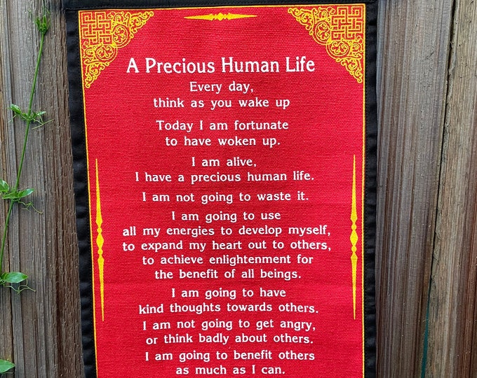 A Precious Human Life Dalai lama quotes of the day, Quotes on happiness quotes on humanity, kindness, quotes on  never give up/Positivity