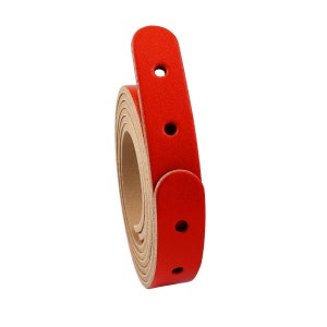 2 Red Tote-Bag leather straps