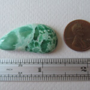 May include: A polished, teardrop-shaped gemstone in shades of green and white, with a penny and a ruler for scale. The gemstone is approximately 1 inch long, showcasing a unique, natural pattern. The penny is dated 1982.