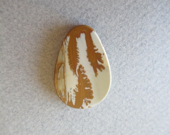 Owyhee Picture Jasper Cabochon Oregon Landscape Stone