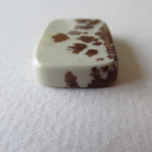 Pode incluir: Um caboch&atilde;o de pedra retangular com manchas brancas e marrons.