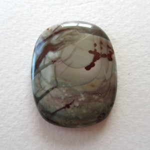 May include: A polished, oval-shaped gemstone with a mix of colors. The stone features a base of light gray and tan, with darker brown and reddish-brown veining and patterns throughout. The surface is smooth and reflective.