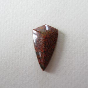 May include: A polished, shield-shaped gemstone with a unique pattern of red, brown, and black hues. The stone has a glossy finish and a smooth surface. The gemstone is likely used for jewelry or decorative purposes.