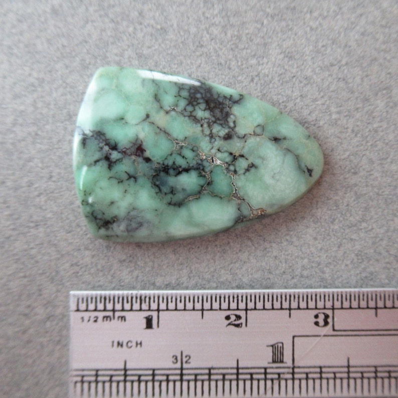 May include: A green and black gemstone cabochon with a unique pattern. The cabochon is approximately 2.5 cm long and 2 cm wide.