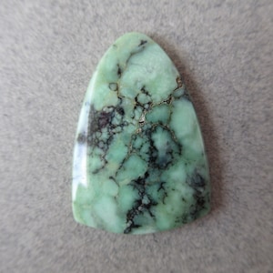 May include: A green and black gemstone cabochon with a teardrop shape. The stone has a mottled pattern of green and black.
