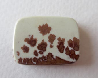 Owyhee Picture Jasper Cabochon Oregon Landscape Stone