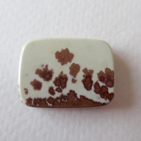 Owyhee Picture Jasper Cabochon Oregon Landscape Stone