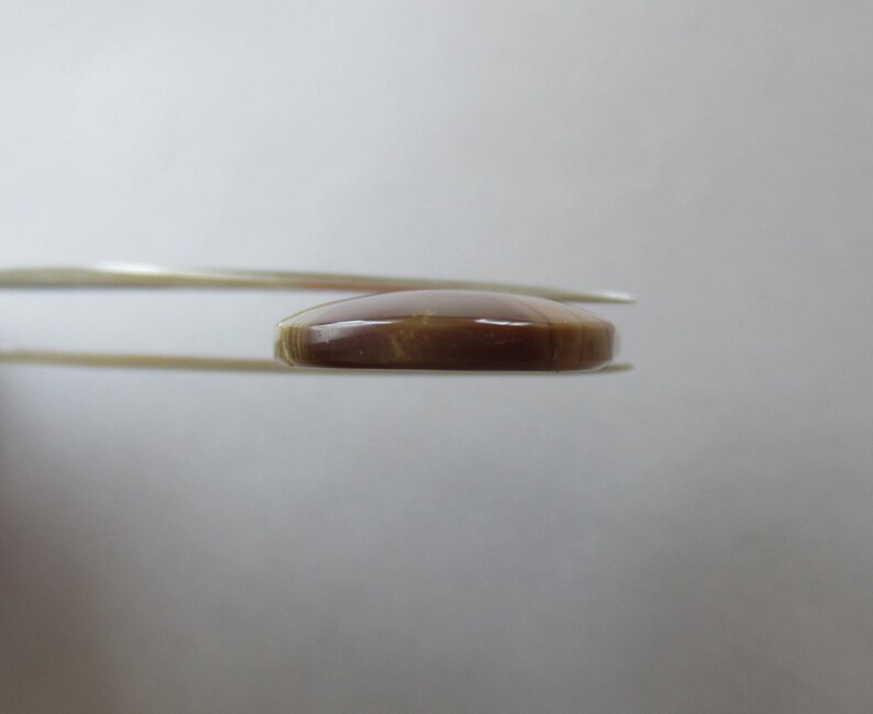 May include: A polished, oval-shaped gemstone, held by tweezers. The gem is a rich, warm brown color with subtle variations in tone. The surface appears smooth and reflective, suggesting a high-quality finish. The tweezers are silver-colored.