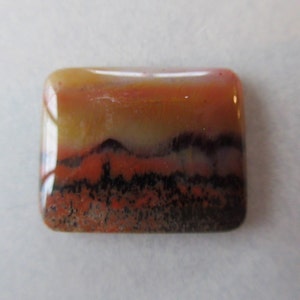 Petrified Wood Cabochon Arizona Scenic Rare Scenic Pattern