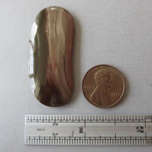 May include: A polished, elongated stone with a mix of brown, tan, and olive green hues. The stone is next to a penny and a ruler marked in inches. The stone's shape is similar to a teardrop, with a smooth, glossy surface.