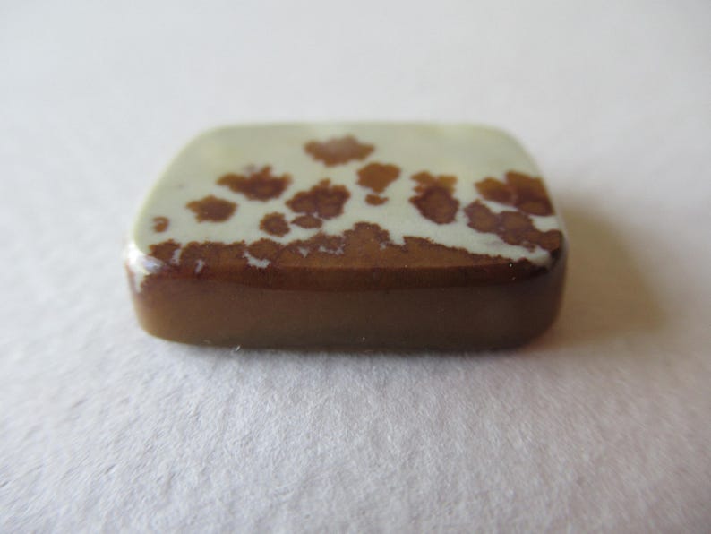 Pode incluir: Um close-up de um caboch&atilde;o de pedra com manchas brancas e marrons claras. A pedra tem uma superf&iacute;cie lisa e polida e uma forma irregular.
