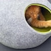 see more listings in the cat cave section