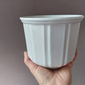 Może przedstawiać: Biała ceramiczna doniczka z pionowymi żebrowanymi detalami. Doniczka ma lekko rozszerzony brzeg i cylindryczny kształt. Obiekt trzymany jest w dłoni na neutralnym tle.