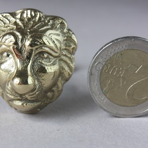 Door knob lion shape, door pull for chest of drawers, drawer knob zoo animal, furniture handle Hollywood Regency, drawer pull for cabinets