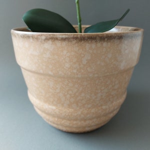Può includere: Un vaso in ceramica beige con una glassa macchiettata. Il vaso ha una forma arrotondata e un bordo leggermente svasato.