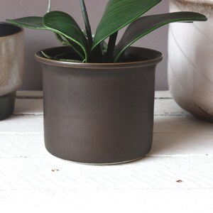 May include: A dark brown ceramic planter with a plant inside. The plant has green leaves and is growing out of the pot.