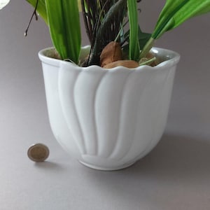 May include: A white ceramic flower pot with a scalloped design. The pot contains green leaves, dark stems, and a few small, light-brown stones. A coin rests on the surface in front of the pot.