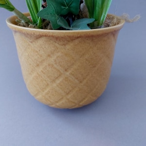 Plant Pot, flower pot, Soendgen Germany