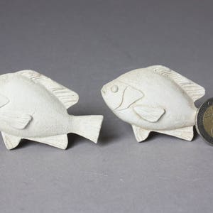 1 Knauf Fisch Nautik Griff Tier Möbelgriff maritimer | Etsy