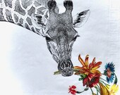 Decoupage Happy Giraffe Animal Print Decorative Paper Floral Tissue Card Making Kids Crafts Decoupage Napkin