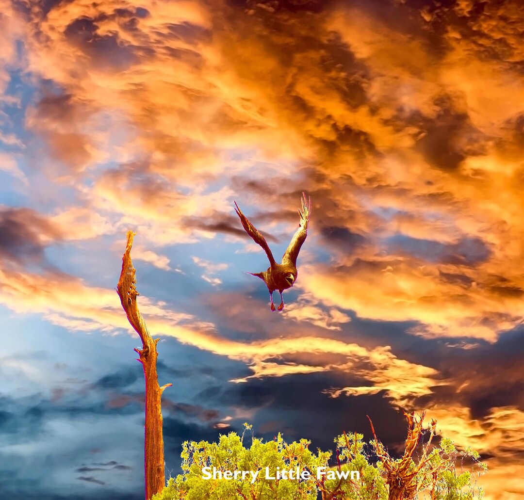 Raven's Flight, Arizona Photography, Fine Art Print, 12x12, Unframed ...