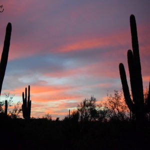 Fotografia d'arte Sunrise Cactus Arizona, stampa 8x10 su carta lucida, senza cornice, fotografia di Scottsdale Arizona
