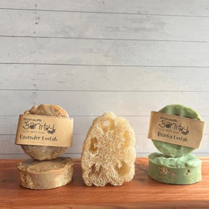 Loofah Soap | Goat Milk Soap w/ Full Loofah Slice in Every Bar | Natural Plant-Based Luffa Grown in the US | Milk Sourced from Local Farmers
