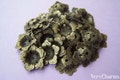 50 pcs Antiqued Bronze 5 Petal Filigree Flower Flat Bead Caps 16mm A2044