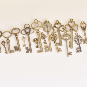 Antique Bronze Skeleton Key Charms Pendants Collection Mixed Style Set of 19  A6671