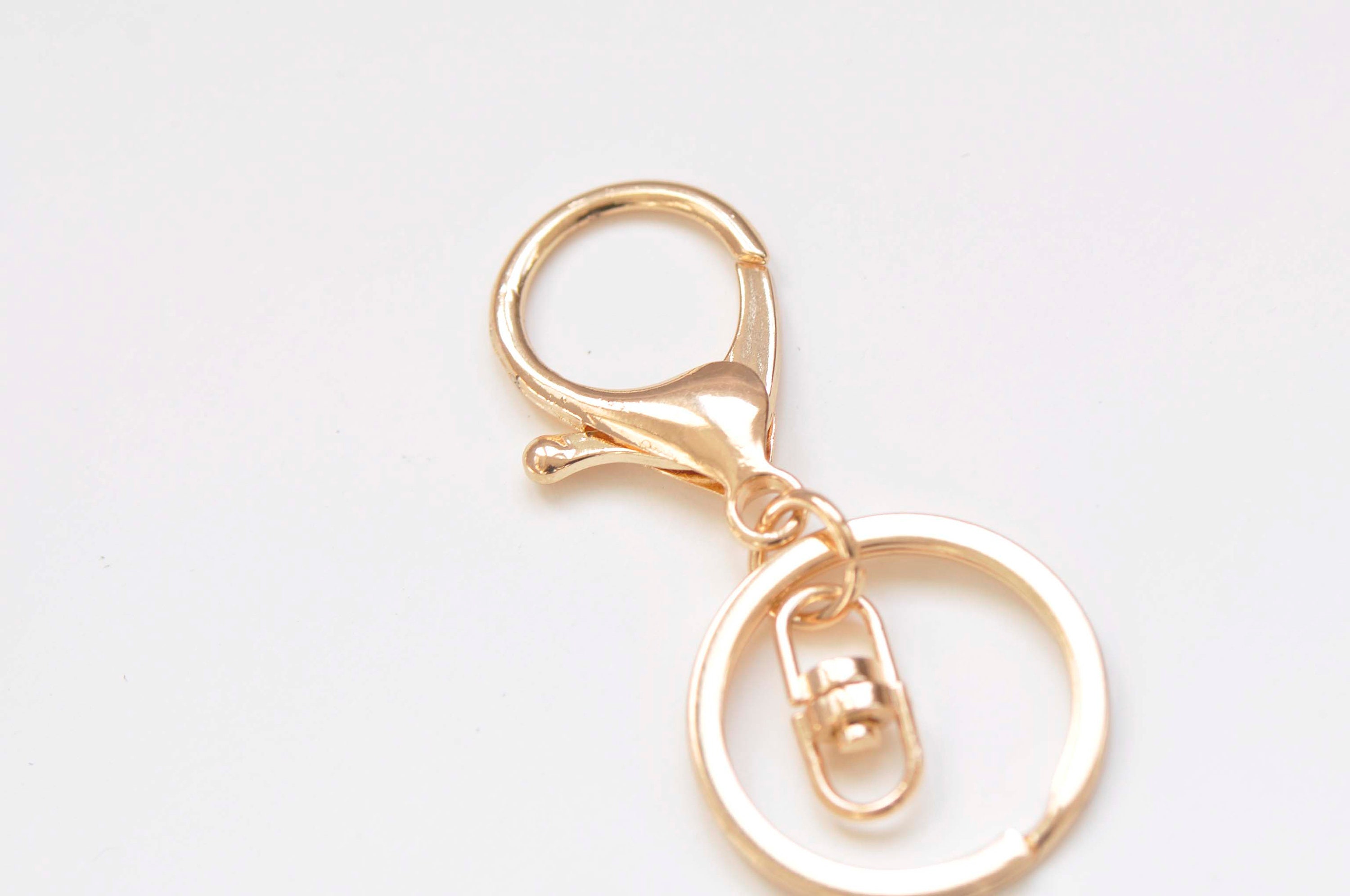 Key On Large Key Chain Large Keychain Key Ring With Lobster Swivel Clasps for Adding Lanyards ...
