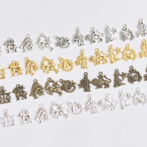 Bulk 12 Zodiac Constellation Astrology Charms  Antique Bronze/Antique Silver/Shiny Silver/Gold