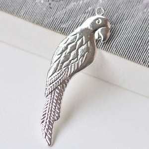 May include: Silver parrot charm with detailed feather design. The charm has a loop at the top for attaching to jewelry.