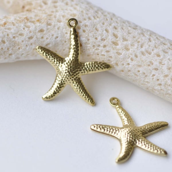 10 pcs Raw Brass Starfish Charms Embellishments 20x22mm A8563