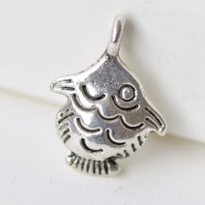 Könnte beinhalten: Silberner Anhänger in Form eines stilisierten Fisches mit detailliertem Design. Der Anhänger hat oben eine Öse zum Anbringen an einer Halskette oder einem Armband.