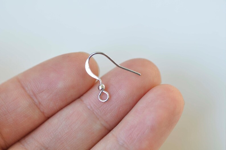 May include: Silver earring hook with a small ball at the top.