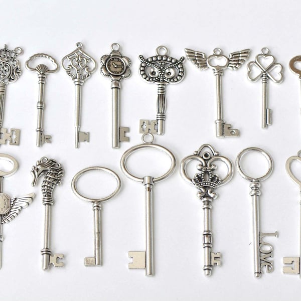 Antique Silver Large Skeleton Key Charms Pendentifs Collection Mixed Style Set de 19 A8787