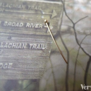 May include: A gold-colored pin with a round head, placed on a wooden sign with the text "Appalachian Trail" and "French Broad River".