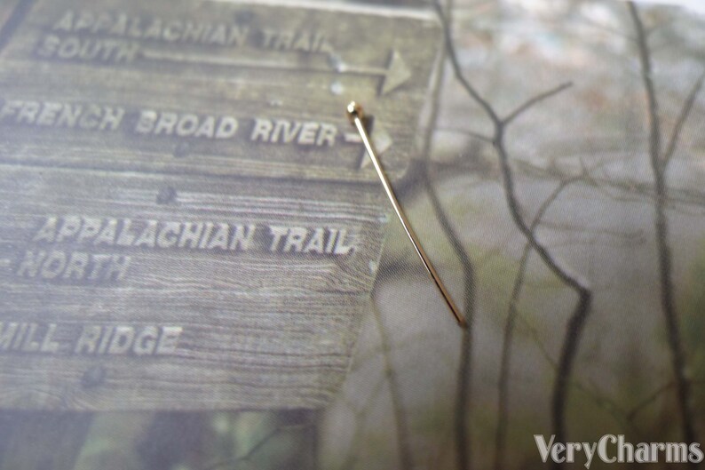 May include: A gold-colored pin with a round head, placed on a wooden sign with the text "Appalachian Trail" and "French Broad River".