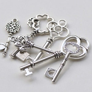40 Pcs Mixed Skeleton Keys In Antique Style Bronze Vintage Key Charms Small Skeleton Keys Charm Birthday L 1061771 - Foto 5