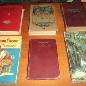 Vintage Book Collection Charles Dickens Pickwick Papers Robinson Crusoe Black Beauty Call of the Wild Français Poetry