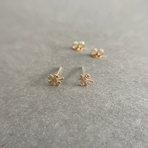 May include: A pair of gold clover-shaped stud earrings. The earrings are small and delicate, and they would make a great gift for someone special.
